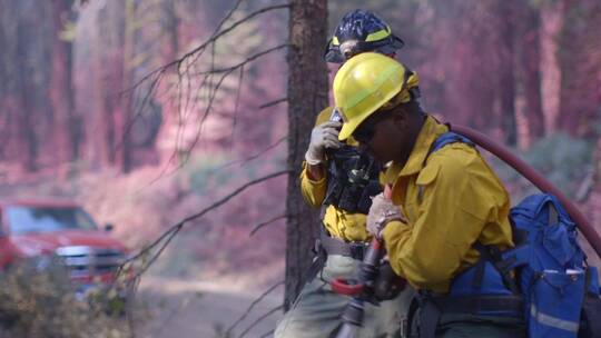 消防员在救森林火灾视频素材模板下载