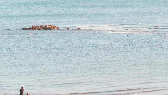 航拍傍晚海边黄昏看海海鸥海浪海岸宽广