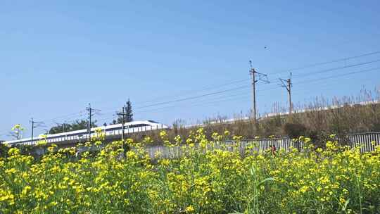 高铁动车列车高铁经过春天春暖花开田野乡村