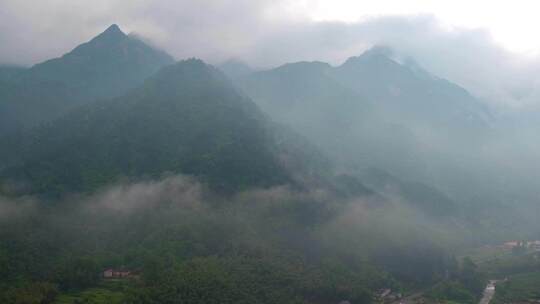 莫干山云雾风景大自然群山环绕云海青山绿水