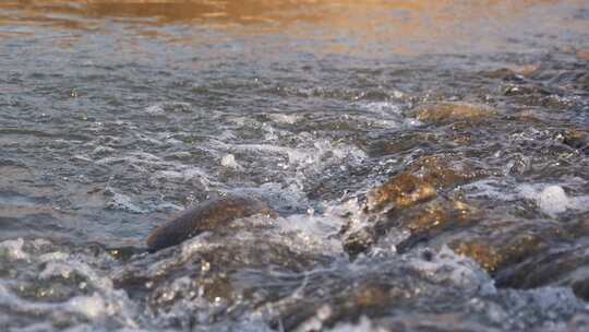 水 河流 小溪 风景 水流 河道 河 风光