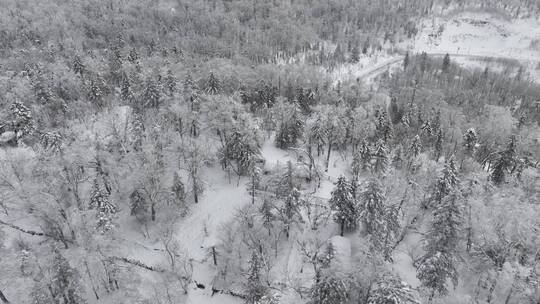 中国雪乡亚雪公路