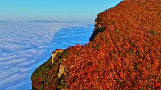 大气航拍巫峡云海红叶