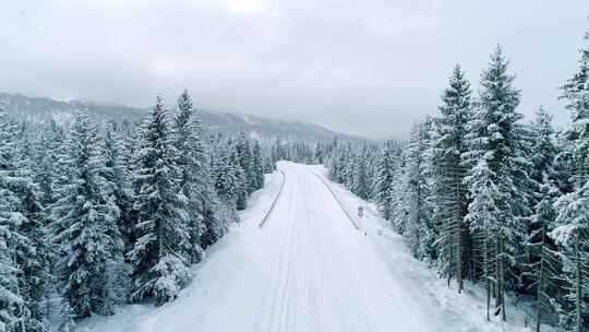 冬季森林的雪路