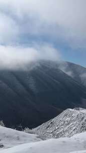 雄鹰飞过雪山