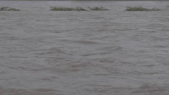 山洪洪水升格慢镜LOG视频素材