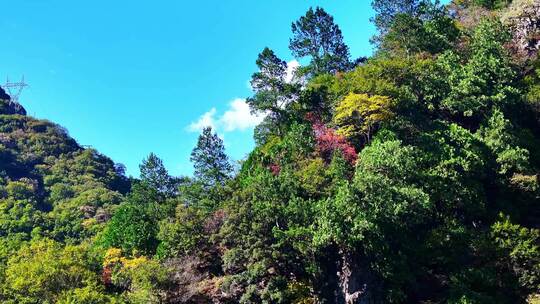 秦岭秋景