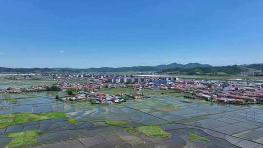 辽宁抚顺新宾满族自治县