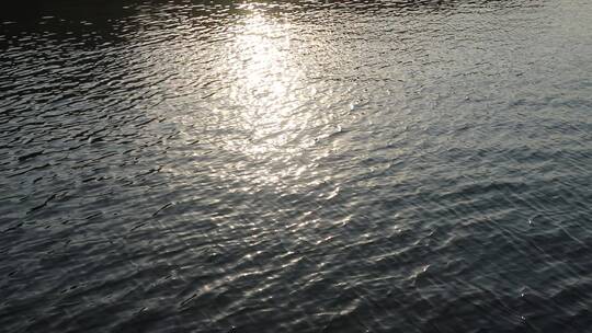 夕阳下波光粼粼的湖面视频素材模板下载
