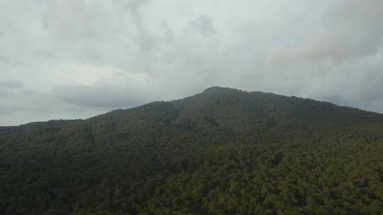 空中游览覆盖山脉的大片森林