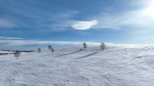 唯美雪原美景 水墨丹青画卷