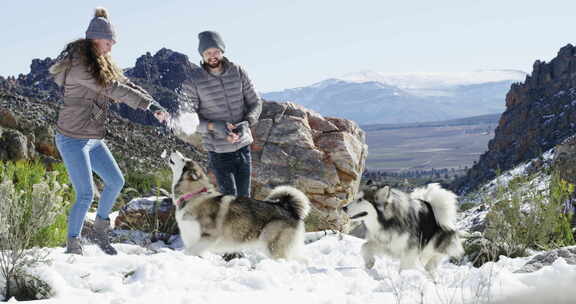 旅行，狗或夫妇在雪地里玩游戏，自由，冒险