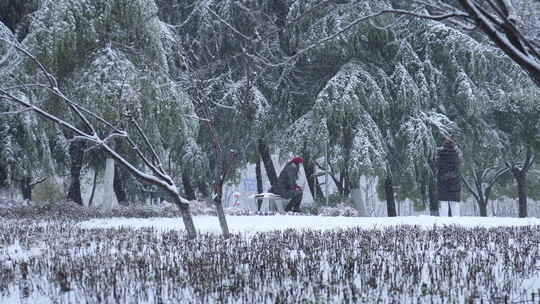 武汉江汉区菱角湖公园雪景