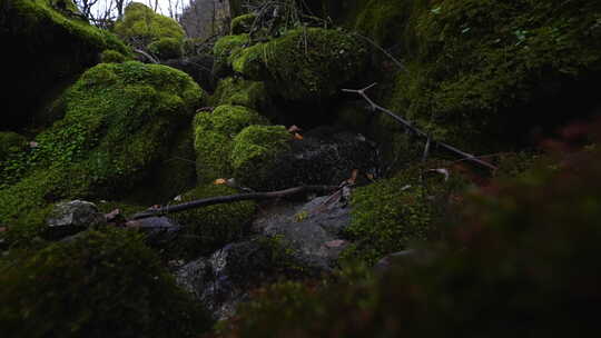 清澈的山涧溪水高速升格4K镜头视频素材模板下载