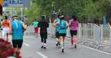 快速奔跑的人群背影 苏州城市马拉松比赛高清在线视频素材下载