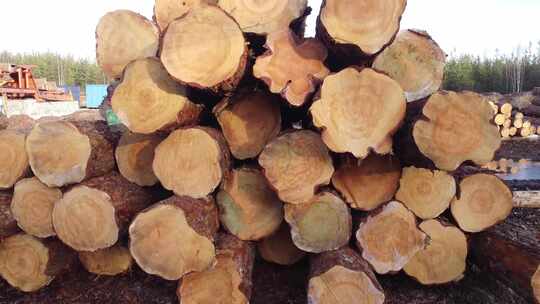 木材加工厂堆砌的木头