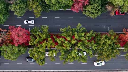 航拍汽车行驶在城市的公路上