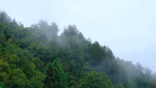 初秋雨中山脉云雾缭绕的绝美自然风光