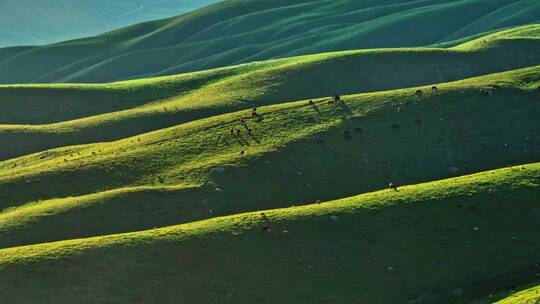 航拍新疆草原美景风景