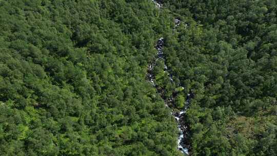 4k风景俯拍云南森林里的河流视频素材模板下载