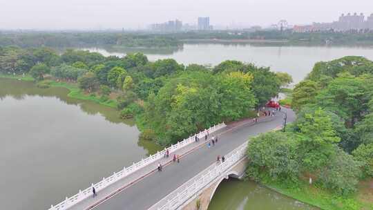 广州海珠湖湿地公园航拍海珠区城市地标