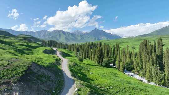 孟克特古道 新疆 雪山草原 旅行自驾