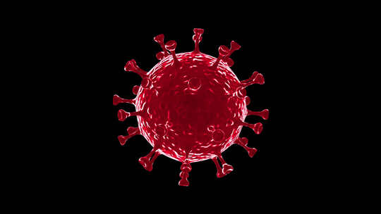 冠状病毒可视化新冠肺炎V11
