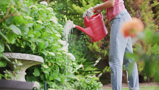 快乐的混血儿女人园艺，用喷壶给植物浇水视频素材模板下载