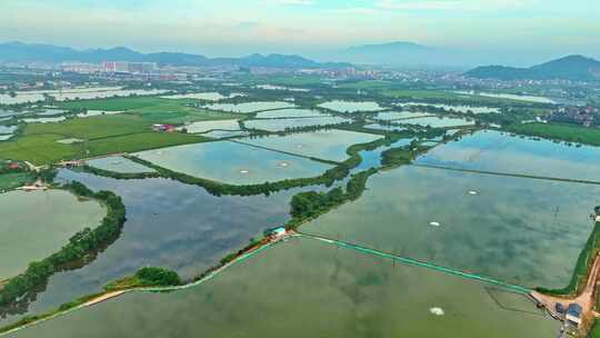 诸暨淡水珍珠养殖基地