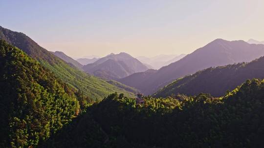 武夷山桐木关大竹岚