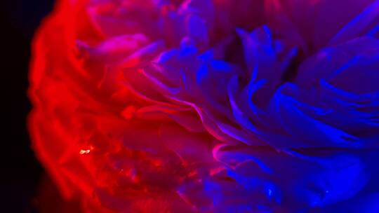 红蓝光梦幻旋转花朵