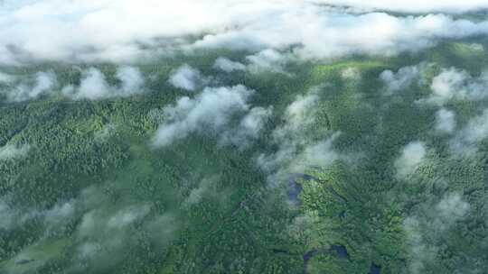 航拍云雾缥缈的绿色山林