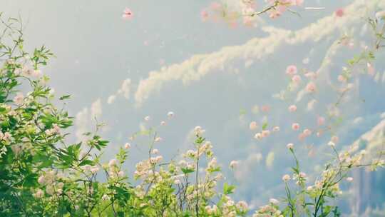 春风拂柳 绿意盎然 桃花纷飞 山间草木