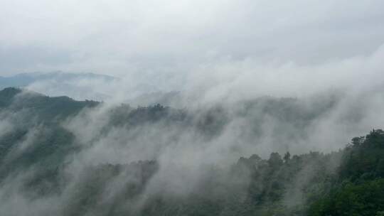 云雾笼罩下的山林延时视频素材模板下载