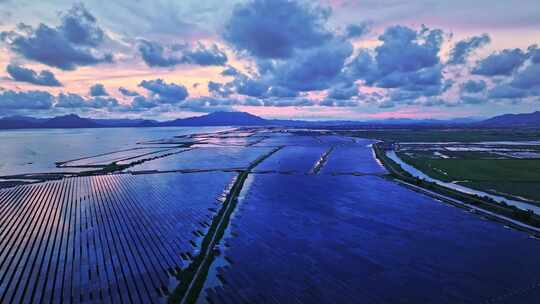 太阳能鱼塘光伏发电风力发电清洁能源碳中和视频素材模板下载