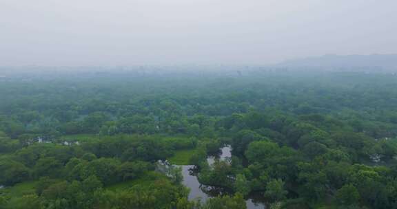 杭州西溪湿地公园夏天风光航拍