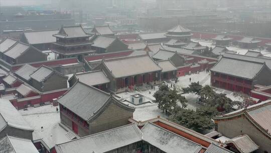 沈阳故宫雪景 雪后故宫行人古建筑沈阳地标