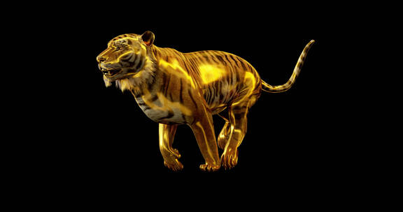 金色老虎奔跑视频素材