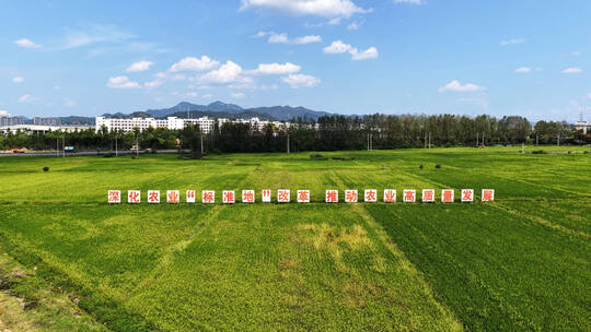 农业标准地改革三农宣传标语航拍多视角