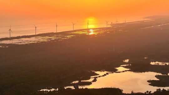 上海东海湿地 上海南汇临港 奉贤海边湿地