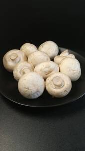 白蘑菇口菇