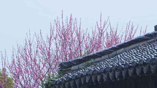 杭州西湖郭庄雨天风景