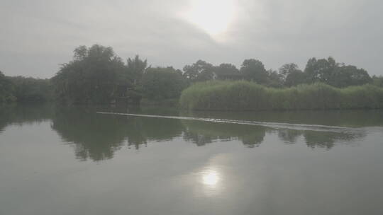 杭州西溪湿地水上芦苇荡游船风光