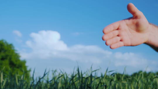 两个男农民在绿地和蓝天的背景下握手