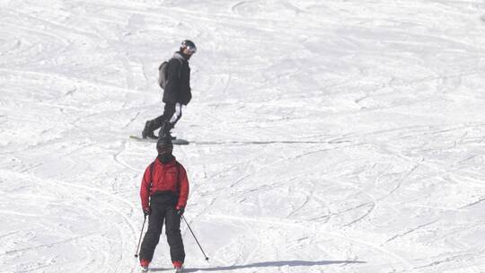 滑雪场景山顶滑雪体育运功国家滑雪场