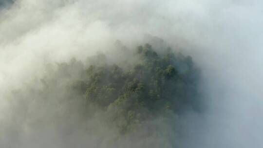 高山森林晨曦云海晨雾航拍