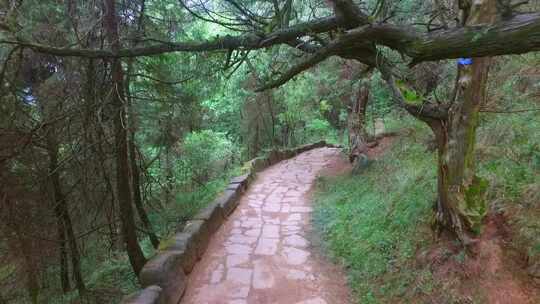 蜀道森林步道