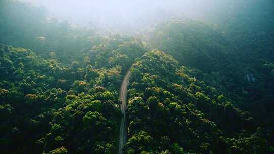 航拍森林深处的路意境空镜头旅行自然风景