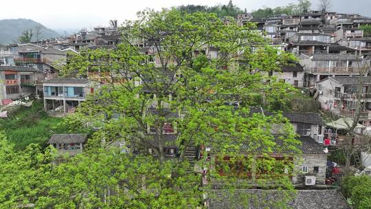 中国广东省清远市连南千年瑶寨景区