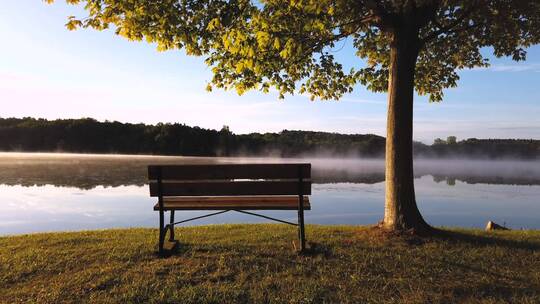 晨雾湖水旁的长椅延时